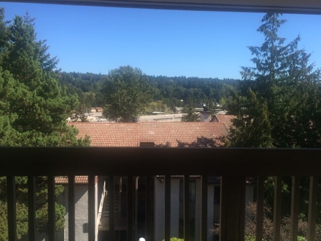 Balcony View - 10424 NE 32nd Plz Unit C-303