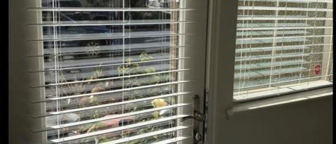 Photo - 3 San Jose Vineyard Ct