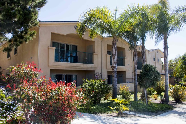 Paradise Encinitas