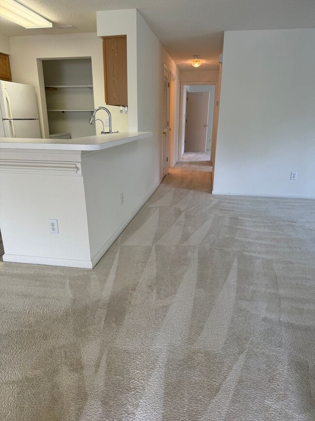 Photo - Bristol Commons