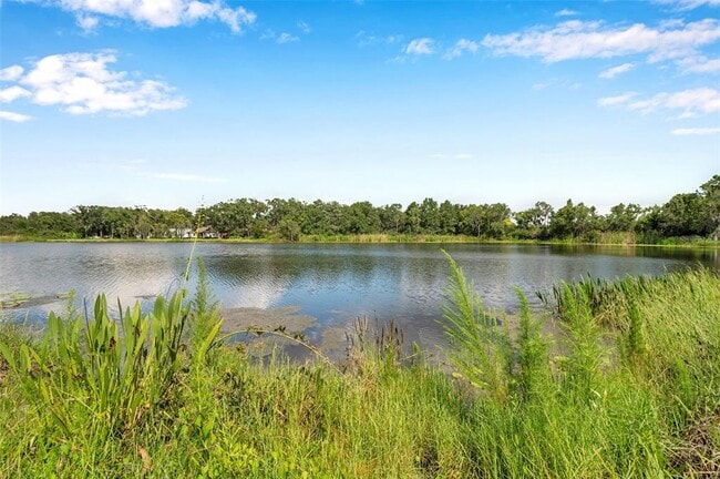 Photo - 4812 Walnut Ridge Rd