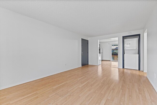 Photo - Cascade Firs