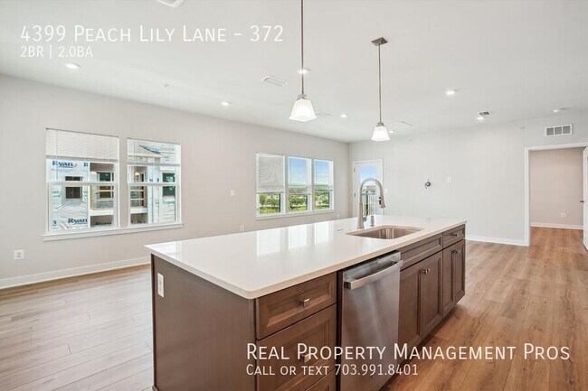 4399 Peach Lily Ln Unit 372