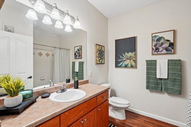 Acacia B, Studio, 1 Bath, 656 sq ft