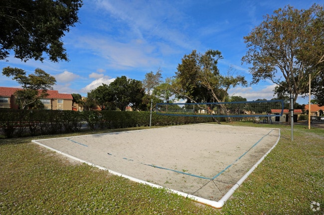Volleyball Court