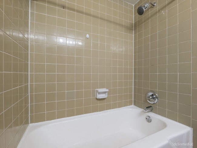Building Photo - 4645 Wild Indigo St Unit 382 Rental