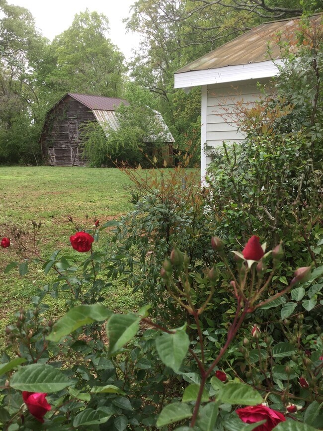 Photo - Country House on 1 Acre