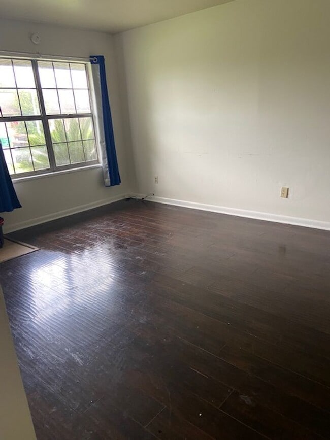 Photo - Nature in the Heart of the City: Live Near Moncus Park-2 BED 1 BATH