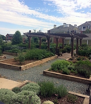 Photo - The Independence