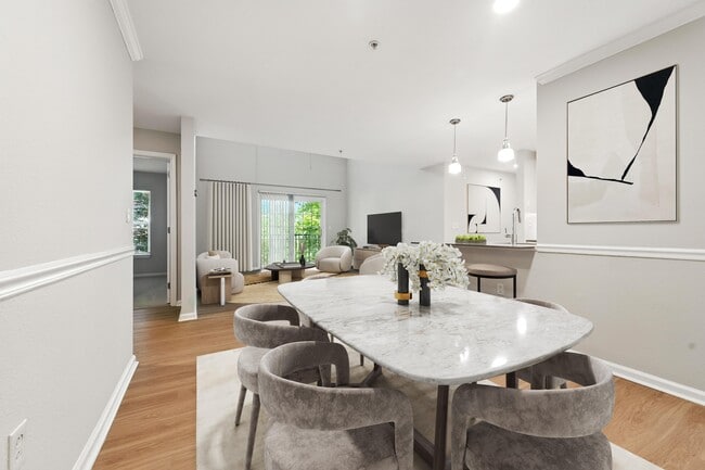 Photo - Everly Darien