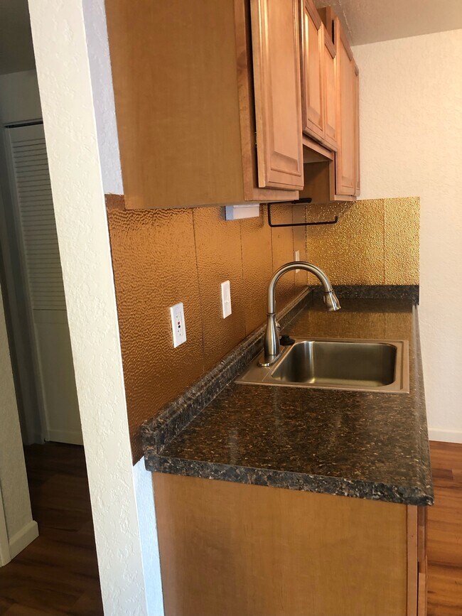 Photo - The Franciscan