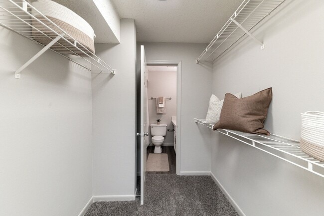 Generous walk-in closet space