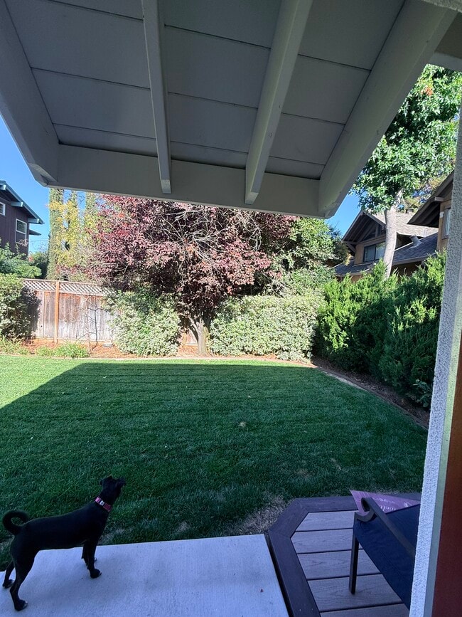 Private yard with fruit tres - 149 Cherry Ln Unit 149a