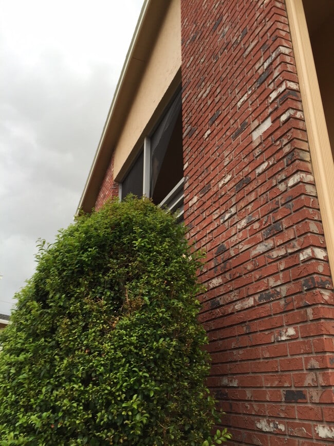 Building Photo - 12386 Alternate A1A Unit N4