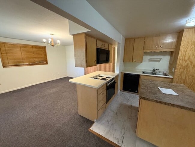 Photo - Close to CSU 4 Bed!