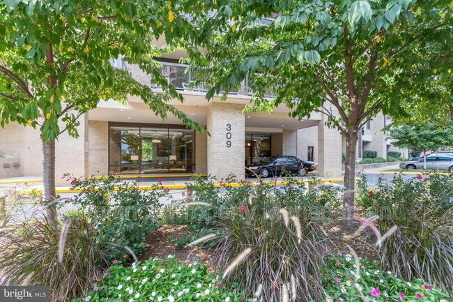 309 Yoakum Pkwy