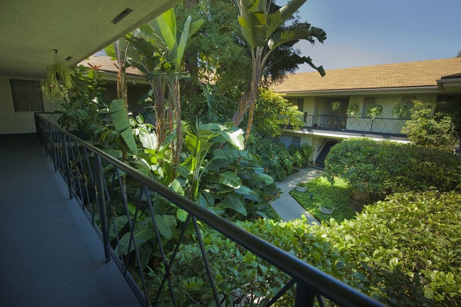 Lush Tropical Courtyard Garden