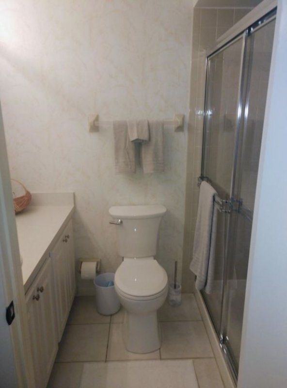 Primary Bath - 1400 Tarpon Woods Blvd Unidad A4