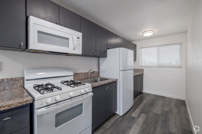 2BR, 1BA - 800SF - Kitchen