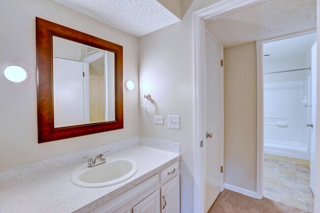 1BD 1BA w/Den - 835 SF - Vanity Area