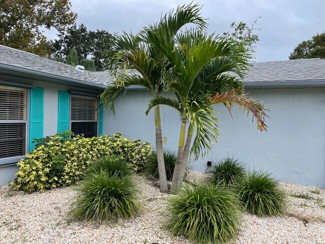Photo - 2219 Umbrella Tree Dr