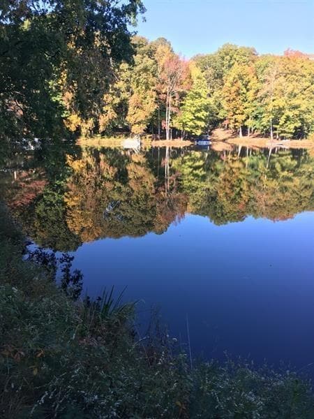 Photo - 649 Kenilworth Cir