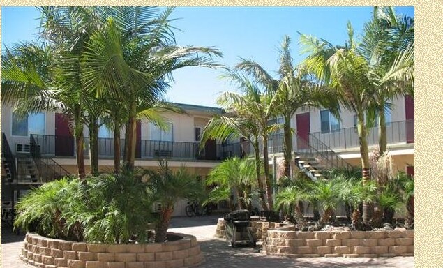 The Pacifica - The Pacifica