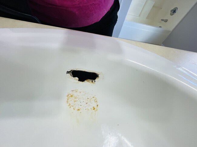 Photo - 45811 W Amsterdam Rd