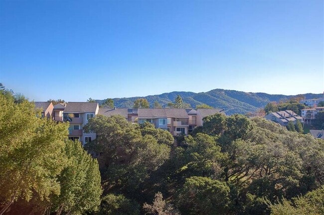 View At Marin