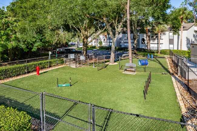 Paw Park