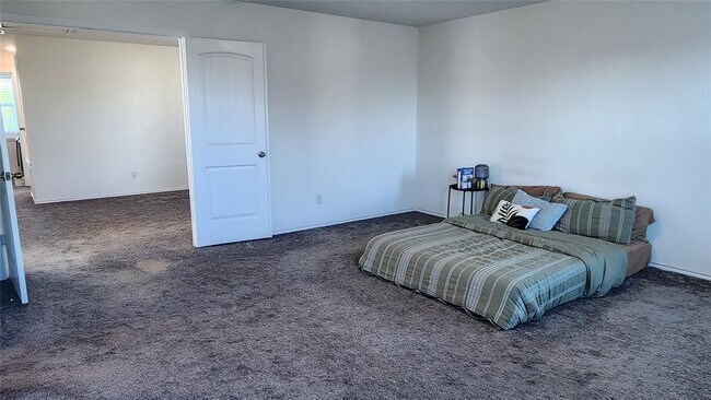 Photo - 402 Parrot Tulip View