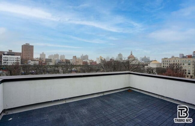 2 bedroom in BROOKLYN NY 11211 - 2 bedroom in BROOKLYN NY 11211 Unidad 1A Rental