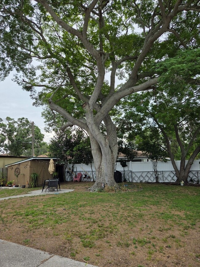 Photo - 5082 45th Ave N