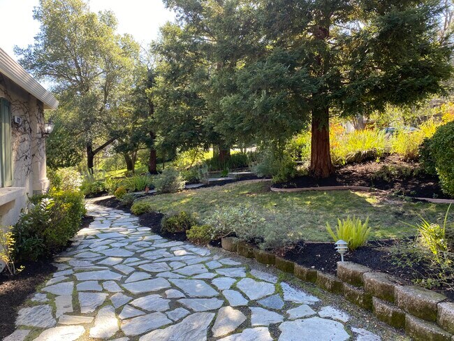 Front Yard Left Walkway - 1828 Ivanhoe Ave