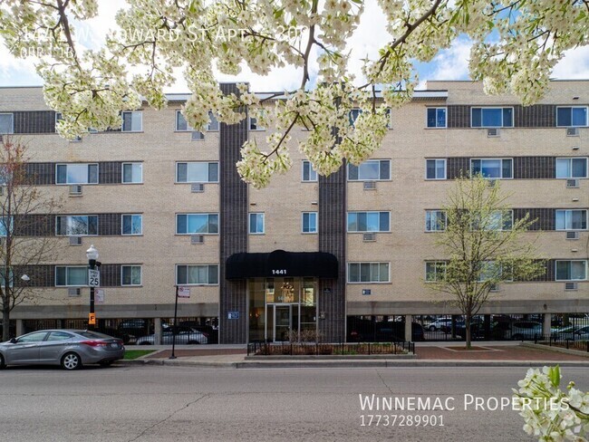 Building Photo - 1441 Howard St Unit 309 Rental