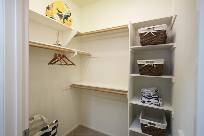 Classic Package I walk-in closet
