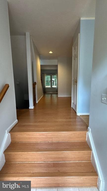 Building Photo - 5957 Cedar Fern Ct Rental