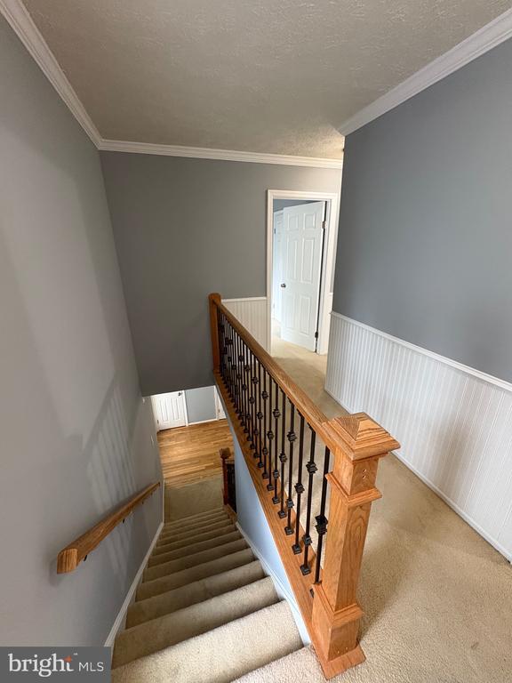 Photo - 10811 Topbranch Ln