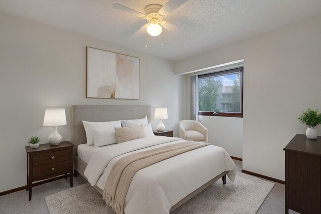 Photo - Russian Jack