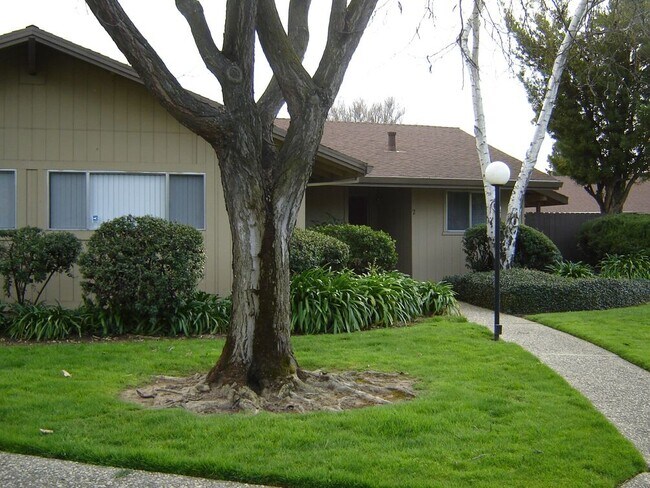 The Place Apartments