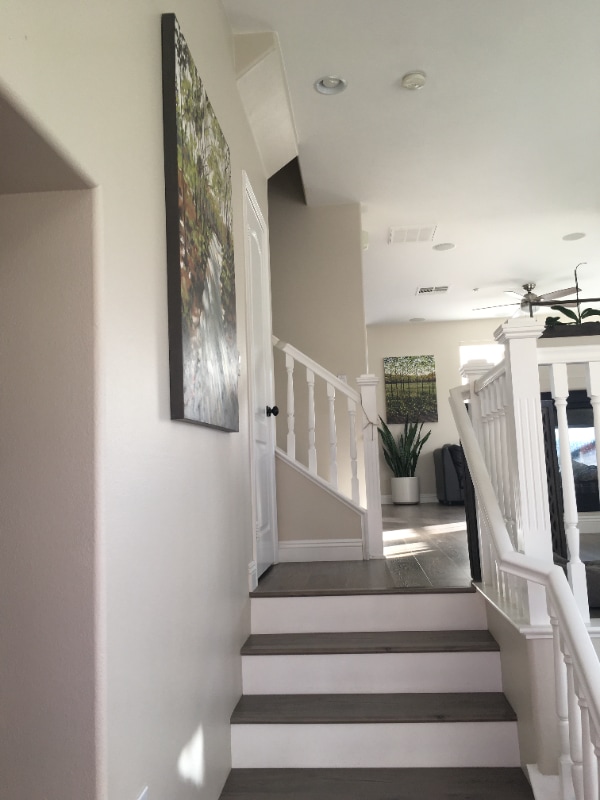 Photo - 3 Sheridan Ln