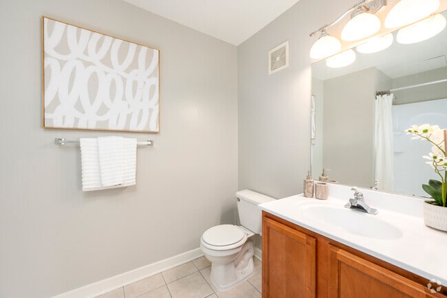2BR, 2BA – 782SF - Bathroom