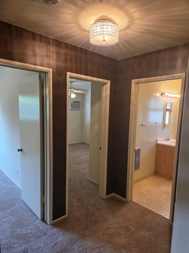 Photo - 5005 Whitsett Ave