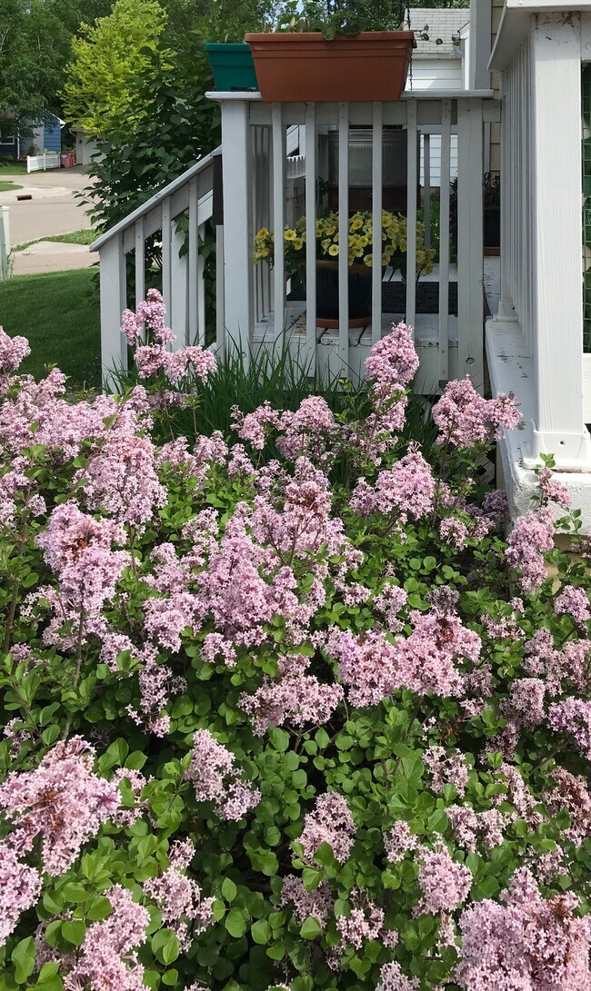 Gardens - 124 Spruce St