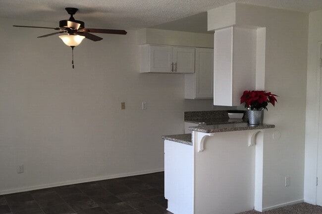 Photo - Cambridge Garden