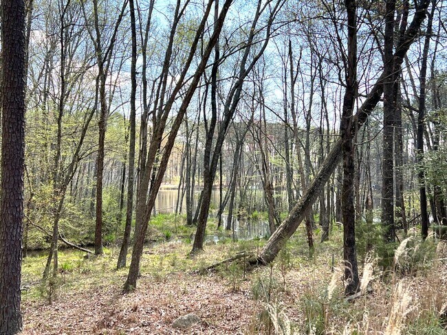 Photo - Fully Furnished & All Inclusive Beauty on Lake Gaston
