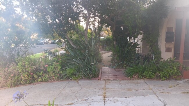 Front yard