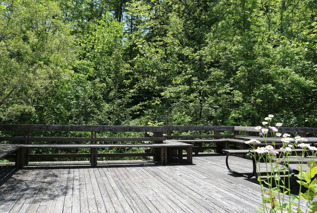 Photo - Shayler Glen