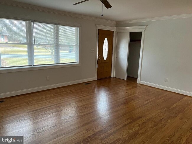 Photo - 810 Wisteria Dr