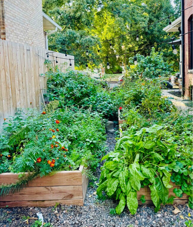 Photo - 1568 Vine St Unit 4